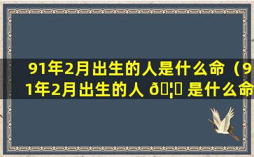 91年2月出生的人是什么命（91年2月出生的人 🦍 是什么命 🦟 格）